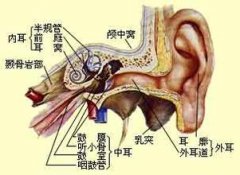 耳聋治疗前应该怎么进行检查