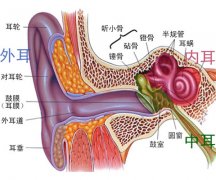 鼓膜穿孔的具体症状有哪些