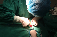 �ж��׵����Ʒ���