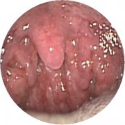 ��������˭�����ƺ�