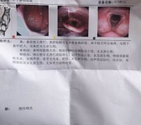 ����ɤ����̵��ô��