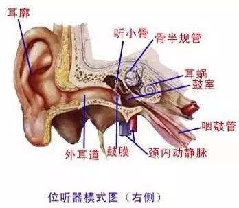 外耳道炎